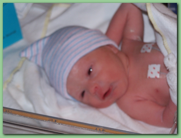 584x433 pixels (183K)